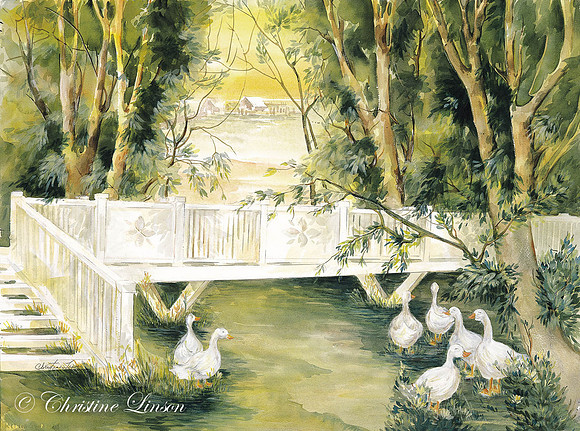 135 - Duck Pond