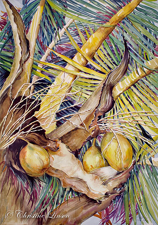 111 - Christine Palms 2 middle