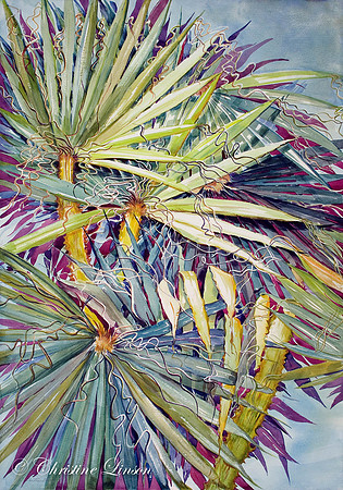 112 - Christine Palms 3 top