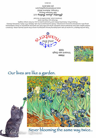 Greeting Cards-15